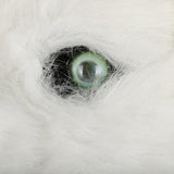 Cosplay Latex Mask Carnival Prop Costume Masks Adult Animal White Dog Mask Can Open Mouth Cosplay Halloween Party - BFJ Cosmart