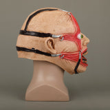 Halloween Masks Latex Party Horrible Scary Prank Cankered Skin Horror Mask Fancy Dress Cosplay Costume Mask Masquerade - BFJ Cosmart